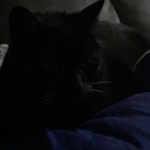 Meet your Posher, Kim